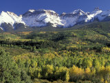 Fall Color and Landscape  Mt Sneffels Wilderness  Colorado  USA