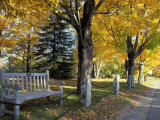 Fall in New England  New Hampshire  USA