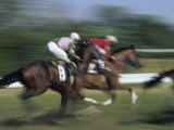 Thundering Hooves