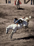 Rodeo  Truckee  California  USA