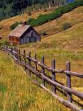 Barn on Last Dollar Road near Telluride  Colorado  USA