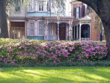 Wisteria on Gazebo Across from Park  Savannah  Georgia  USA