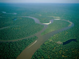 Amazon River  Amazon Jungle  Brazil