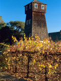 Water Tank Tower at the Handley Cellars Winery  Mendocino County  California  USA