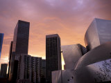 Downtown Skyline  Los Angeles  California  USA