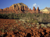 Red Rock Country  Sedona  Arizona  USA