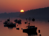 Lobster Boats in Harbor at Sunrise  Stonington  Maine  USA