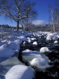 Wildcat River  White Mountains  New Hampshire  USA