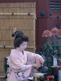 Apprentice Geisha (Maiko) Performing Tea Ceremony  Tokyo  Honshu  Japan