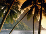 The Pitons  Soufriere  St Lucia