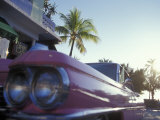 Colorful Street Life  South Beach  Miami  Florida  USA