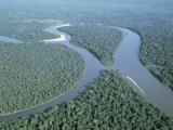 Aerial View of Amazon River and Jungle  Brazil