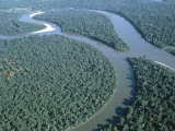 Amazon River  Amazon Jungle  Brazil