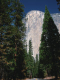 El Capitan  Yosemite National Park  California  USA