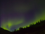 Norhtern Lights With Big Dipper  Denali National Park  Alaska  USA
