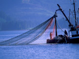 Commercial Fishing Trawler  Frederick Arm  Inside Passage  Southeast Alaska  USA