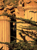Palace of Fine Arts  Presidio  San Francisco  California  USA