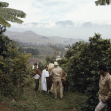 Cauca River Valley  Colombia