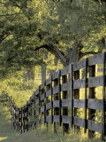 Fence at Sunrise  Bluegrass Region  Lexington  Kentucky  USA
