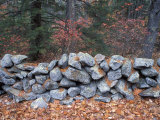 Stone Wall next to Sheepboro Road  New Hampshire  USA