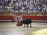 Bullfight  Pamplona  Spain
