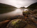 Stormy Day with Green Lichen on Rocks of Jordon Pond  Acadia National Park  Maine  USA