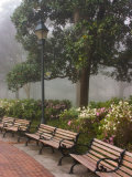 Azaleas Along Brick Sidewalk and Benches at Forsyth Park  Savannah  Georgia  USA