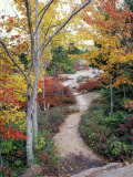 Penobscot Mountain Hiking Trails in Fall  Maine  USA