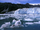 Icebergs Float Past Alalik Glacier  Kenai Fjords National Park  Alaska  USA