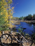 Mountain Bike at Beaver Pond in Pawtuckaway State Park  New Hampshire  USA