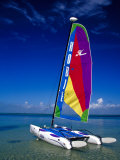 Catamarans  Florida Keys  Florida  USA