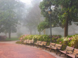 Azaleas Along Brick Sidewalk and Benches at Forsyth Park  Savannah  Georgia  USA
