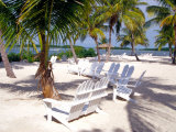 Palm Trees and Beach Chairs  Florida Keys  Florida  USA