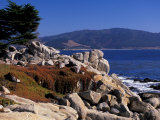 17-Mile Drive  Pescadero Point  Carmel  California  USA