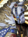 Horse on Carousel in Caras Park  Missoula  Montana  USA