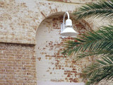 Old Brick Wall with Palm Trees  Key West  Florida Keys  Florida  USA