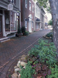 Brick Sidewalks in the Historic District of Chestertown  Maryland  USA