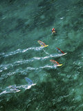 Kanaha Beach  Maui  Hawaii  USA