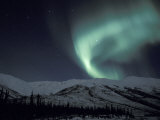 Northern Lights Curtain of Green and Yellow  Brooks Range  Alaska  USA