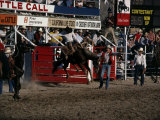 Brawley Rodeo  California  USA
