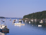 Lobster Boats in Stonington Harbor  Maine  USA