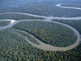 Amazon River  Amazon Jungle  Brazil