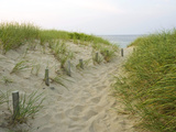Path at Head of the Meadow Beach  Cape Cod National Seashore  Massachusetts  USA