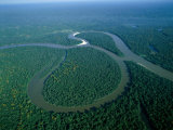 Amazon River  Amazon Jungle  Brazil