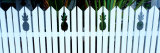 Fence with Pinapples  Key West  Florida Keys  Florida  USA