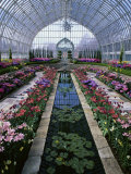 Como Park Conservatory  St Paul  Minnesota  USA