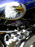 Harley Davidson Motorcycle