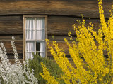 Mountain Farm Museum Great Smoky Mountains National Park North Carolina  USA