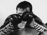 Monochromatic Image of a Boxer Drinking Water
