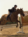Side Profile of a Woman Riding a Horse Over a Hurdle